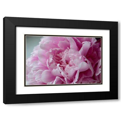 Pink Peony Black Modern Wood Framed Art Print with Double Matting by Engelbrecht, Lisa S.
