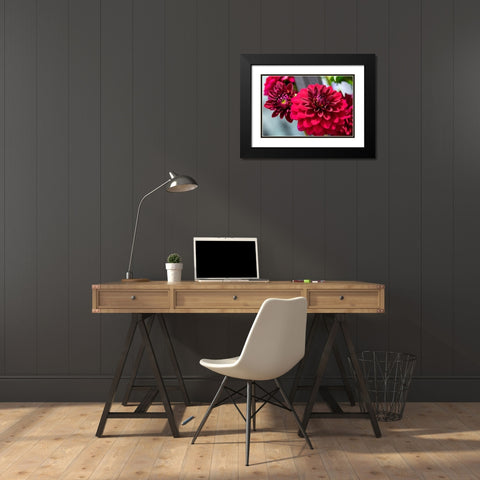Red Dahlia Black Modern Wood Framed Art Print with Double Matting by Engelbrecht, Lisa S.