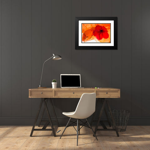 Hibiscus Flower and Tissue Paper with Light Black Modern Wood Framed Art Print with Double Matting by Beraldo, Zandina Muench