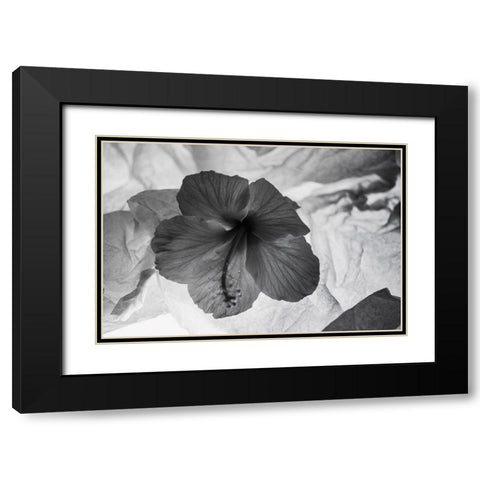Hibiscus Flower and Tissue Paper with Light Black Modern Wood Framed Art Print with Double Matting by Beraldo, Zandina Muench