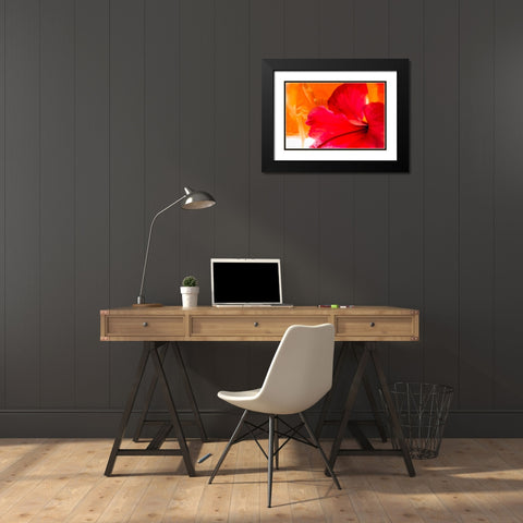 Hibiscus Flower and Tissue Paper with Light Black Modern Wood Framed Art Print with Double Matting by Beraldo, Zandina Muench