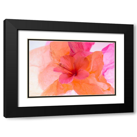 Hibiscus Flower and Tissue Paper with Light Black Modern Wood Framed Art Print with Double Matting by Beraldo, Zandina Muench