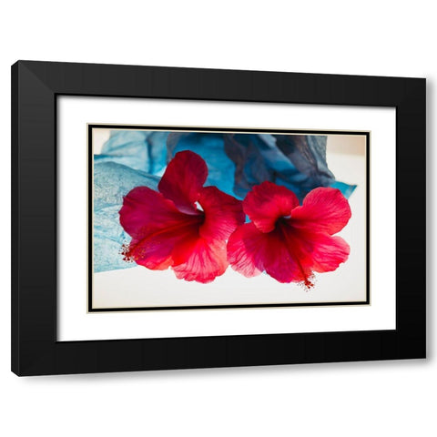 Hibiscus Flower and Tissue Paper with Light Black Modern Wood Framed Art Print with Double Matting by Beraldo, Zandina Muench