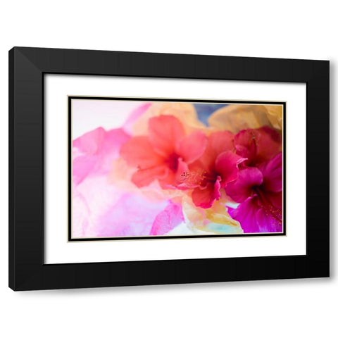 Hibiscus Flower and Tissue Paper with Light Black Modern Wood Framed Art Print with Double Matting by Beraldo, Zandina Muench
