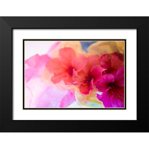 Hibiscus Flower and Tissue Paper with Light Black Modern Wood Framed Art Print with Double Matting by Beraldo, Zandina Muench