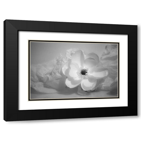 Black and white flower Black Modern Wood Framed Art Print with Double Matting by Beraldo, Zandina Muench