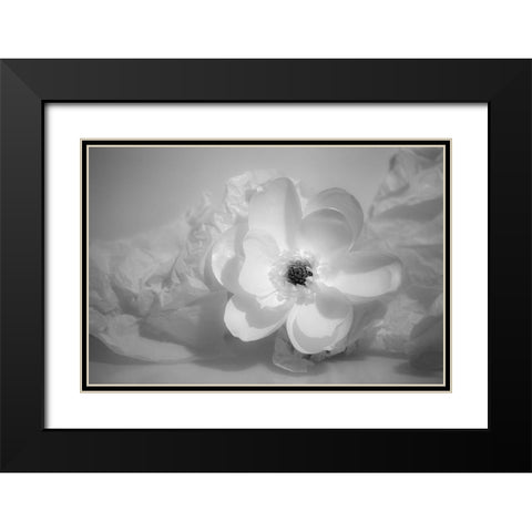 Black and white flower Black Modern Wood Framed Art Print with Double Matting by Beraldo, Zandina Muench