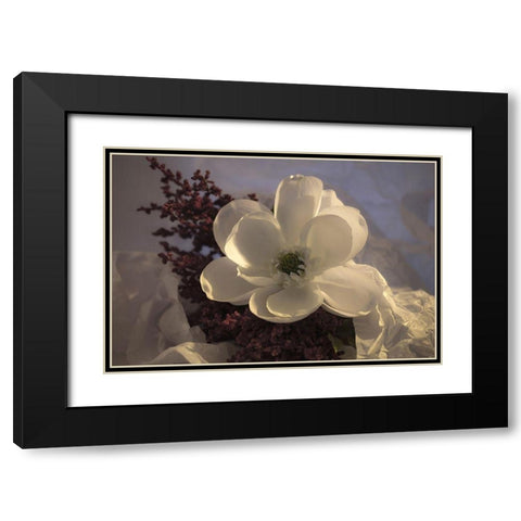 Close-up of flower Black Modern Wood Framed Art Print with Double Matting by Beraldo, Zandina Muench