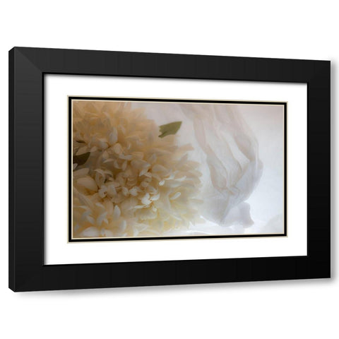 Close-up of flower Black Modern Wood Framed Art Print with Double Matting by Beraldo, Zandina Muench