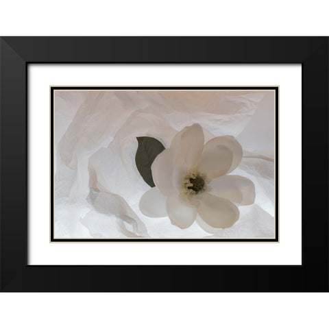 Close-up of flower Black Modern Wood Framed Art Print with Double Matting by Beraldo, Zandina Muench