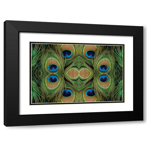 Peacock feathers Black Modern Wood Framed Art Print with Double Matting by Jones, Adam