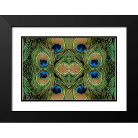 Peacock feathers Black Modern Wood Framed Art Print with Double Matting by Jones, Adam