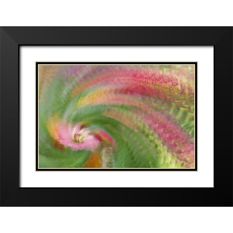 Abstract swirl of pink flower Black Modern Wood Framed Art Print with Double Matting by Anon, Ellen