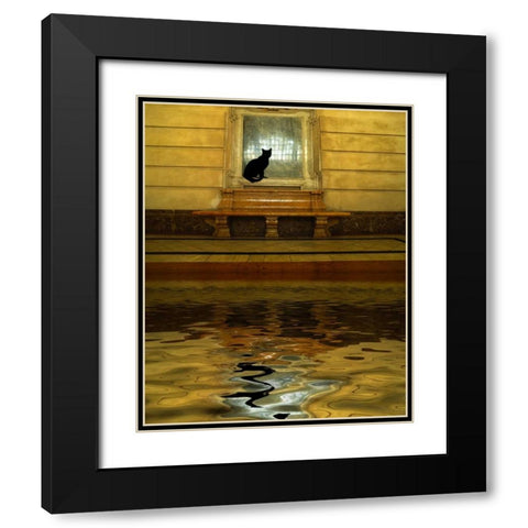 Concept of black cat and water Black Modern Wood Framed Art Print with Double Matting by Zuckerman, Jim