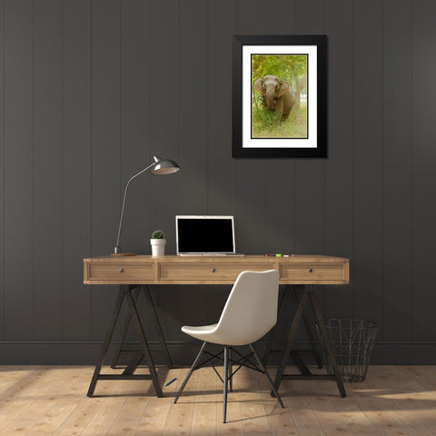 Asian Elephant on the edge of forest Corbett National Park-India Black Modern Wood Framed Art Print with Double Matting by Rajput, Jagdeep