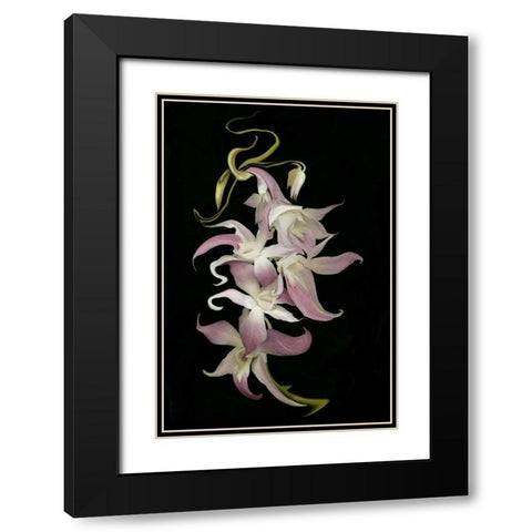 Abstract orchid artwork, digitally manipulated Black Modern Wood Framed Art Print with Double Matting by Anon, Ellen