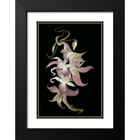 Abstract orchid artwork, digitally manipulated Black Modern Wood Framed Art Print with Double Matting by Anon, Ellen