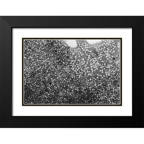 Beet juice and salt crystals Black Modern Wood Framed Art Print with Double Matting by Muench, Zandria