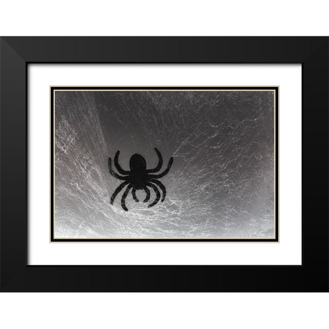 Spider on web Black Modern Wood Framed Art Print with Double Matting by Muench, Zandria