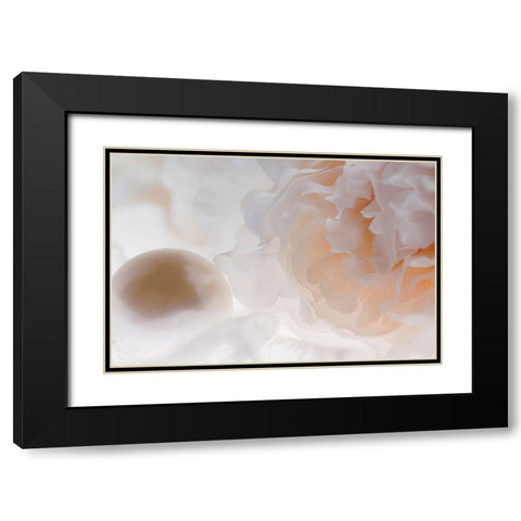 Flowers and light Black Modern Wood Framed Art Print with Double Matting by Muench, Zandria