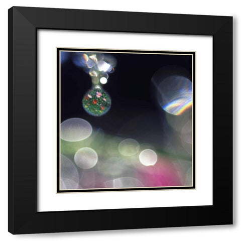 Dew on flowers with flower field in one drop Black Modern Wood Framed Art Print with Double Matting by Satushek, Steve
