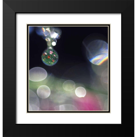 Dew on flowers with flower field in one drop Black Modern Wood Framed Art Print with Double Matting by Satushek, Steve