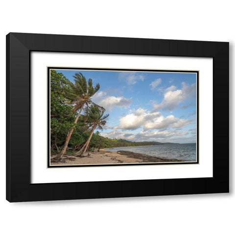 Fiji-Viti Levu Beach with palm trees and white clouds Black Modern Wood Framed Art Print with Double Matting by Merrill Images