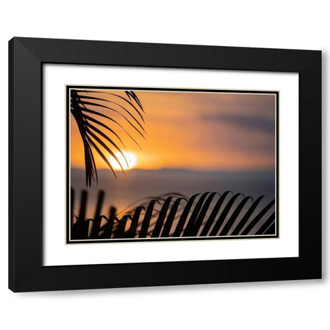 Fiji-Vanua Levu Palm fronds silhouetted in sunset over the ocean Black Modern Wood Framed Art Print with Double Matting by Merrill Images