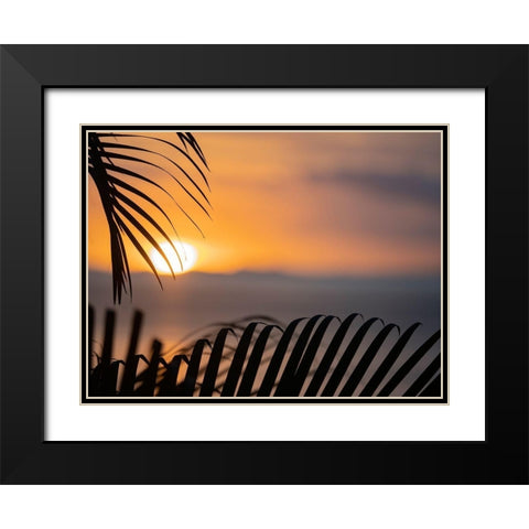 Fiji-Vanua Levu Palm fronds silhouetted in sunset over the ocean Black Modern Wood Framed Art Print with Double Matting by Merrill Images
