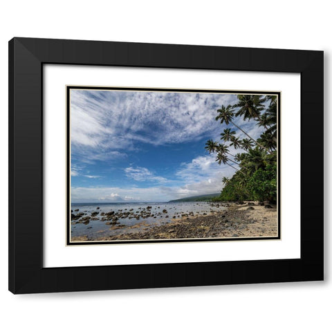 Fiji-Taveuni Island Beach with palm trees and white clouds Black Modern Wood Framed Art Print with Double Matting by Merrill Images