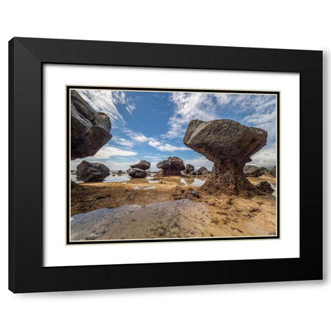 Fiji-Taveuni Island Rock formations on the beach of Lavena showing erosion Black Modern Wood Framed Art Print with Double Matting by Merrill Images