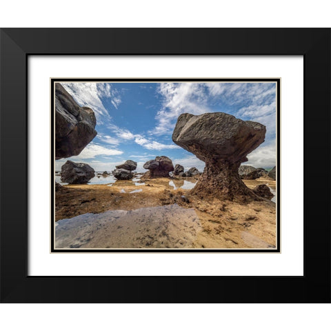 Fiji-Taveuni Island Rock formations on the beach of Lavena showing erosion Black Modern Wood Framed Art Print with Double Matting by Merrill Images