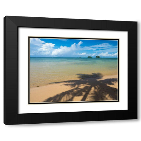 Fiji-Taveuni Island Silhouette of a palm tree on sandy beach with blue sky Black Modern Wood Framed Art Print with Double Matting by Merrill Images
