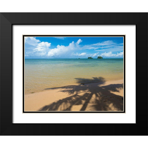 Fiji-Taveuni Island Silhouette of a palm tree on sandy beach with blue sky Black Modern Wood Framed Art Print with Double Matting by Merrill Images