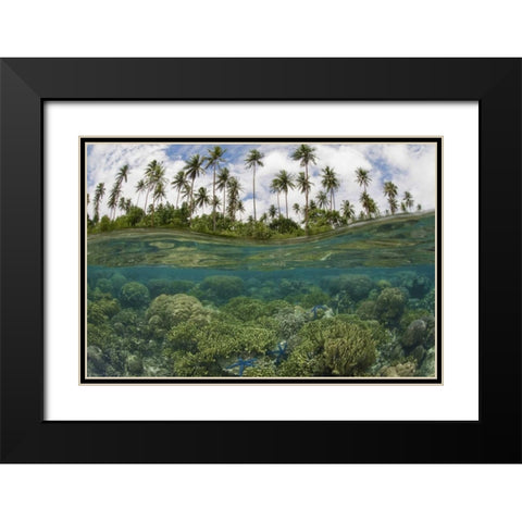 Solomon Islands Reef and island palm trees Black Modern Wood Framed Art Print with Double Matting by Shimlock, Jones