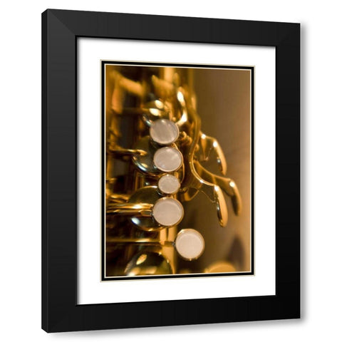 French Polynesia Saxophone used in band Black Modern Wood Framed Art Print with Double Matting by Kaveney, Wendy