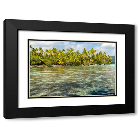 French Polynesia- Tahaa. Ocean corals and tropical forest. Black Modern Wood Framed Art Print with Double Matting by Jaynes Gallery