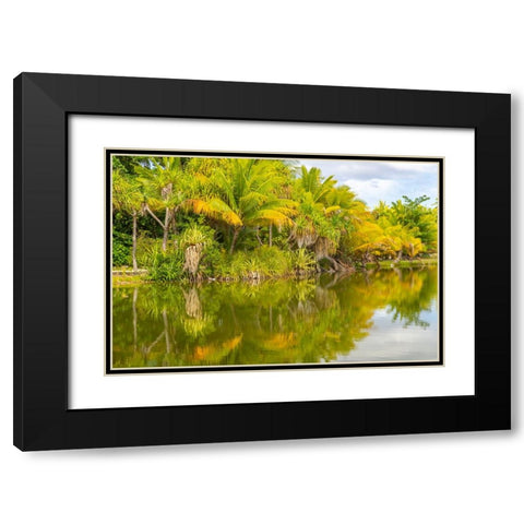 French Polynesia- Tahaa. Tropical lagoon and jungle. Black Modern Wood Framed Art Print with Double Matting by Jaynes Gallery