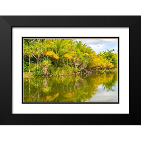 French Polynesia- Tahaa. Tropical lagoon and jungle. Black Modern Wood Framed Art Print with Double Matting by Jaynes Gallery