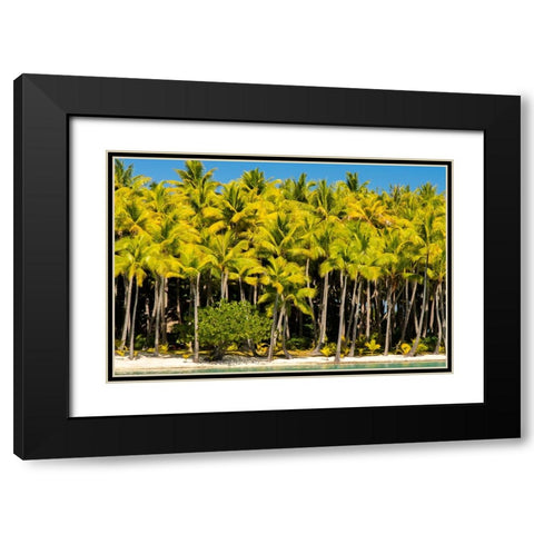 French Polynesia- Bora Bora. Palm trees and beach. Black Modern Wood Framed Art Print with Double Matting by Jaynes Gallery