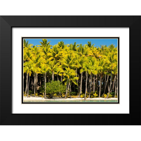 French Polynesia- Bora Bora. Palm trees and beach. Black Modern Wood Framed Art Print with Double Matting by Jaynes Gallery