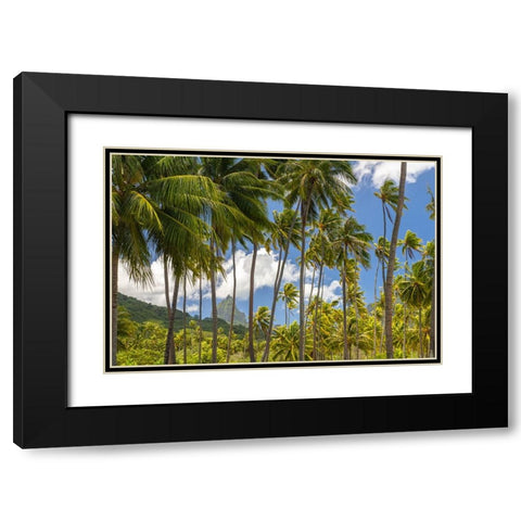 French Polynesia- Moorea. Bali Hai mountain and palm trees. Black Modern Wood Framed Art Print with Double Matting by Jaynes Gallery