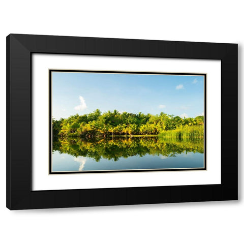 French Polynesia- Tahaa. Tropical jungle reflects in lagoon. Black Modern Wood Framed Art Print with Double Matting by Jaynes Gallery