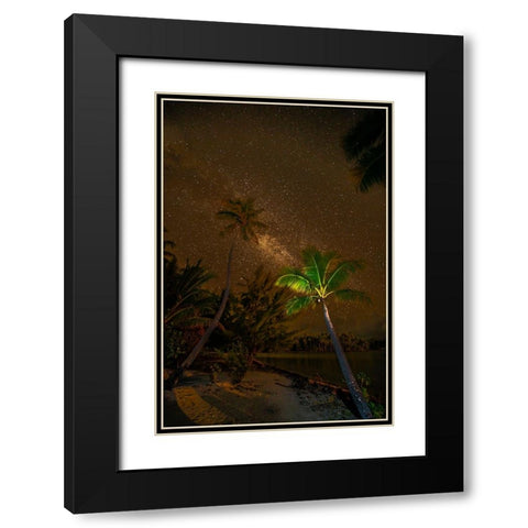 French Polynesia- Tahaa. Palm trees and night sky with Milky Way. Black Modern Wood Framed Art Print with Double Matting by Jaynes Gallery