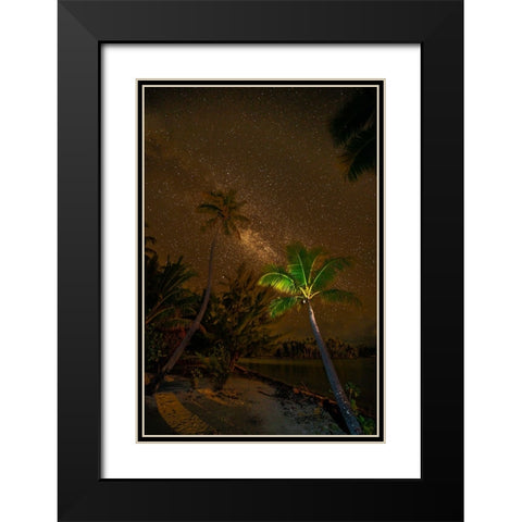 French Polynesia- Tahaa. Palm trees and night sky with Milky Way. Black Modern Wood Framed Art Print with Double Matting by Jaynes Gallery