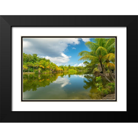 French Polynesia- Tahaa. Tropical jungle reflects in lagoon. Black Modern Wood Framed Art Print with Double Matting by Jaynes Gallery