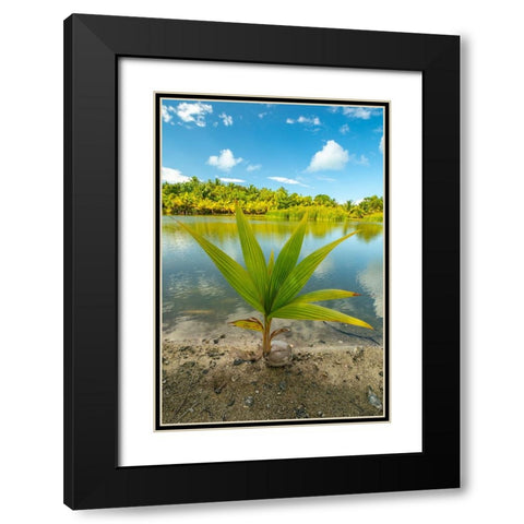 French Polynesia- Tahaa. Tropical jungle reflects in lagoon. Black Modern Wood Framed Art Print with Double Matting by Jaynes Gallery