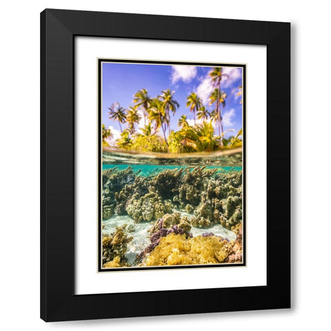 French Polynesia- Tahaa. Under/above water split of coral and palm trees. Black Modern Wood Framed Art Print with Double Matting by Jaynes Gallery
