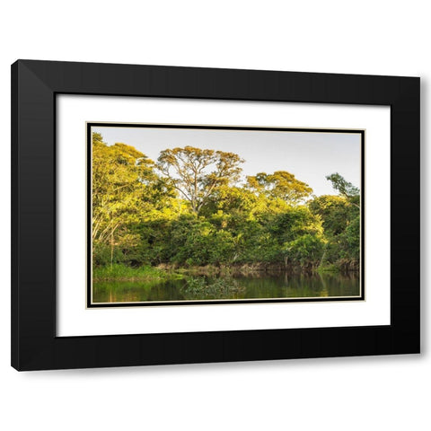 Brazil-Pantanal Cuiaba River landscape  Black Modern Wood Framed Art Print with Double Matting by Jaynes Gallery
