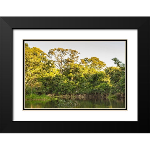 Brazil-Pantanal Cuiaba River landscape  Black Modern Wood Framed Art Print with Double Matting by Jaynes Gallery